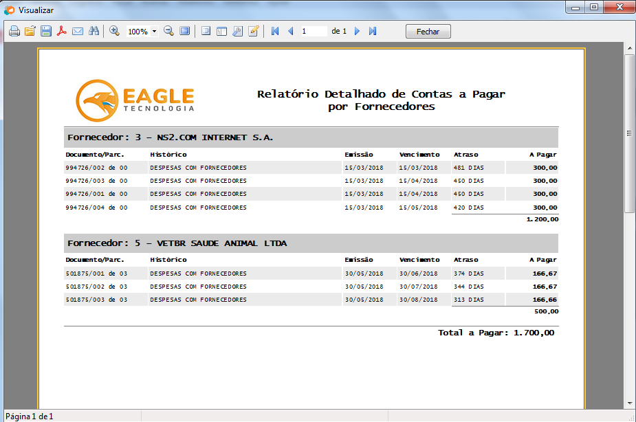 Visualização de um Relatório